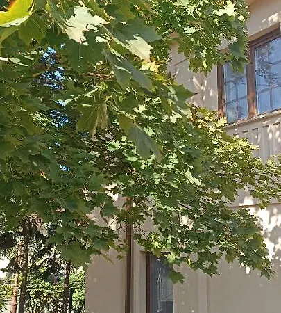 Villa Фоньод Экстерьер фото